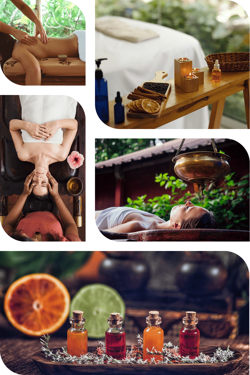 Dr. Nitin Pandav - Chief Physician – Arogyam Ayurveda